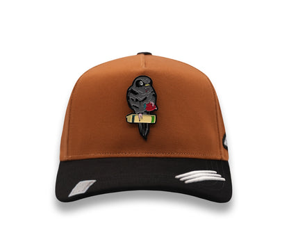 PERICO BROWN