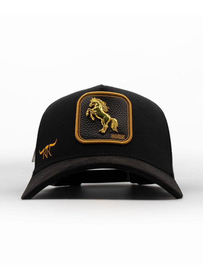 CABALLO BLACK /GOLD